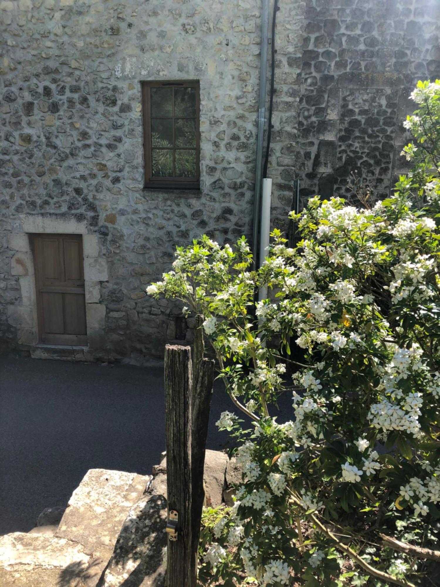 Gite Des Pins Saint-Maurice-dʼIbie Buitenkant foto
