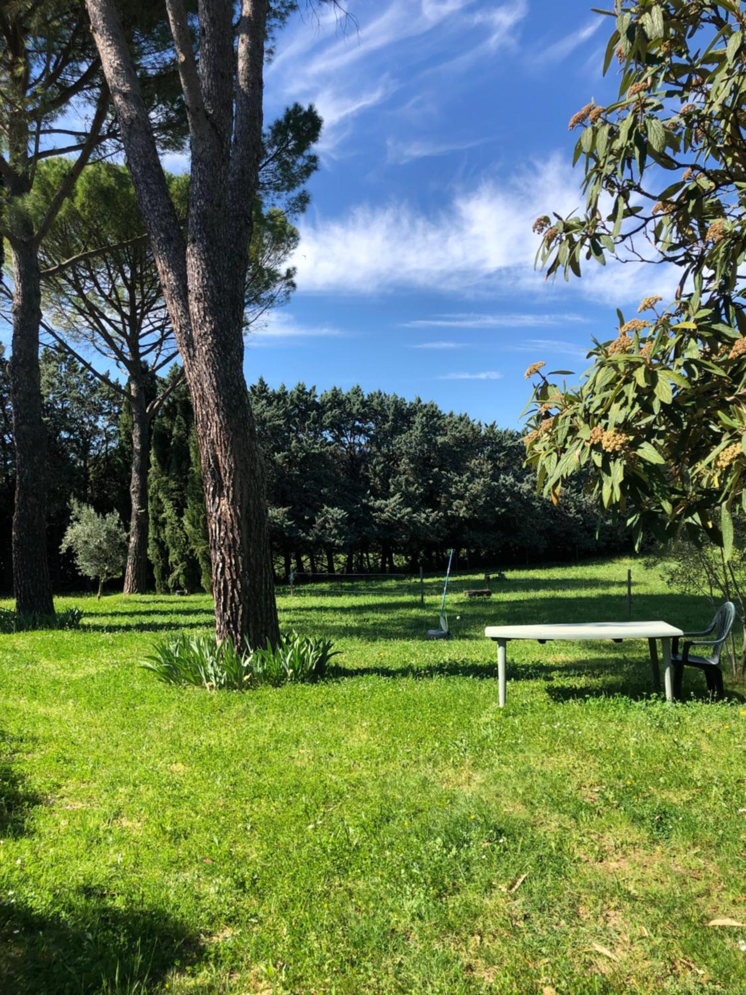 Gite Des Pins Saint-Maurice-dʼIbie Buitenkant foto