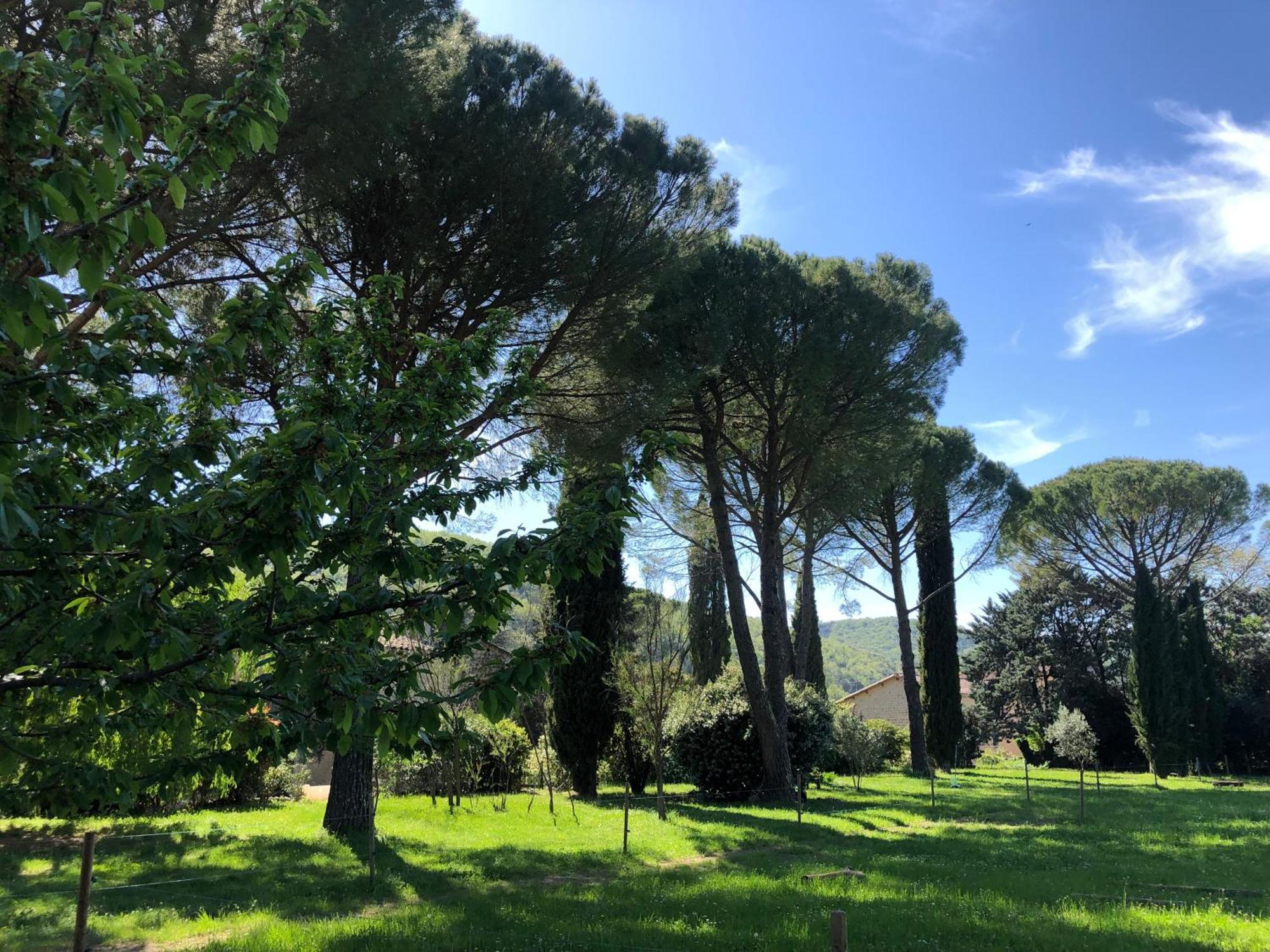 Gite Des Pins Saint-Maurice-dʼIbie Buitenkant foto