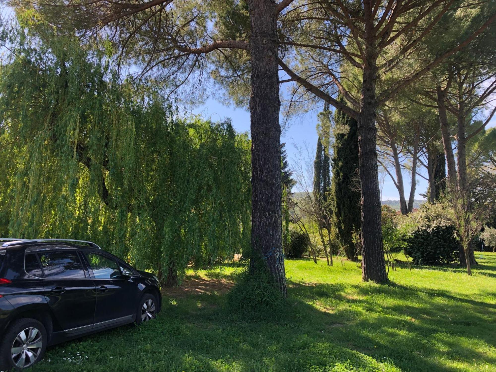Gite Des Pins Saint-Maurice-dʼIbie Buitenkant foto