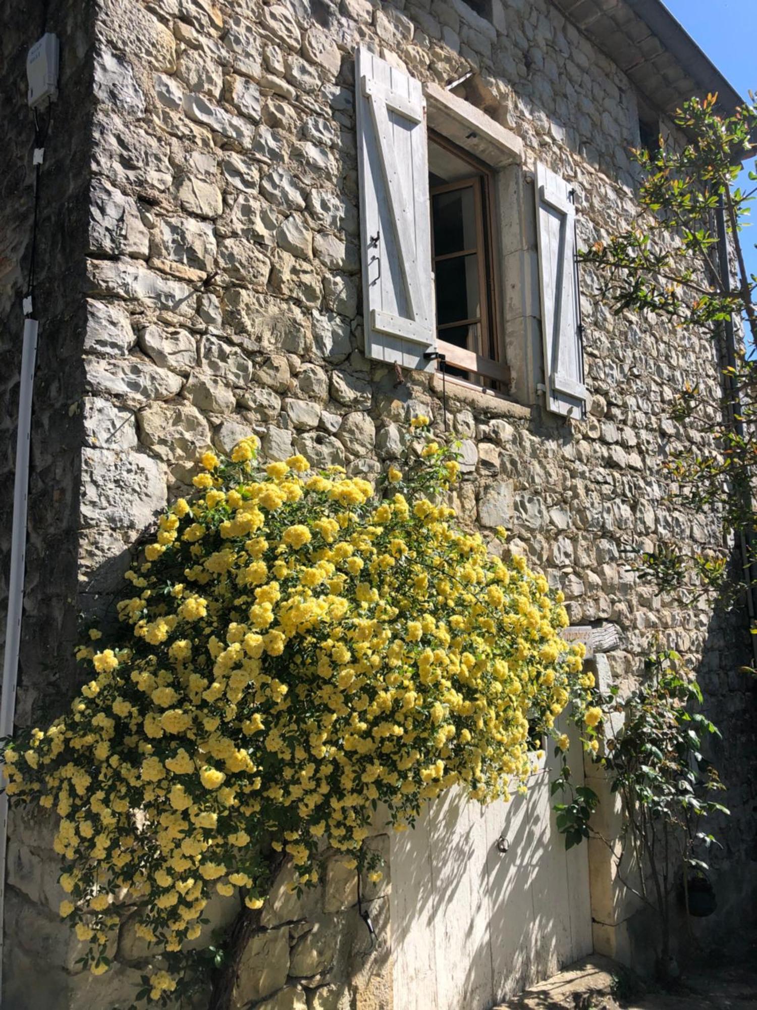 Gite Des Pins Saint-Maurice-dʼIbie Buitenkant foto